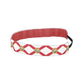 アメリカスリップまたは滑ることフロリダ州旗を持つノンヘッドバンド アスレチックヘッドバンド (右)