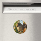 アメリカセキレイ マグネット (インサイチュ (食洗機))