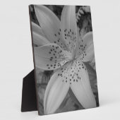 アメリカタイガーリリー フォトプラーク (側面)