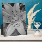 アメリカタイガーリリー フォトプラーク (側面)