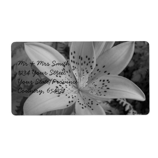 アメリカタイガーリリー ラベル (正面)