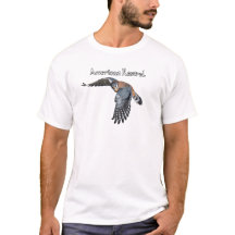 アメリカチョウゲンボウTシャツ