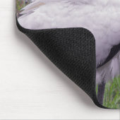 アメリカトキコウ マウスパッド (コーナー)