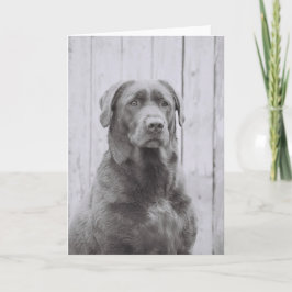 アメリカドッグ カード