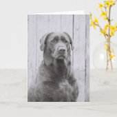 アメリカドッグ カード (黄色い花)