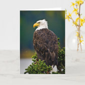 アメリカハクトウワシの止まり木 カード (黄色い花)