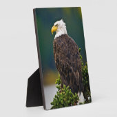 アメリカハクトウワシの止まり木 フォトプラーク (側面)