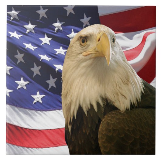 アメリカハクトウワシ アメリカ国旗 愛国的な装飾 タイル (正面)