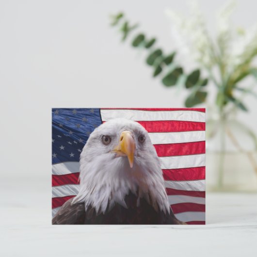 アメリカハゲとアメリカ国旗 ポストカード (スタンド正面)