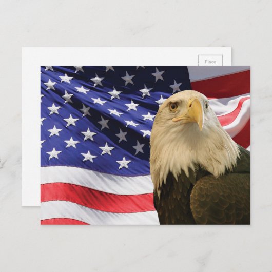 アメリカハゲと国旗 ポストカード (正面/裏面)