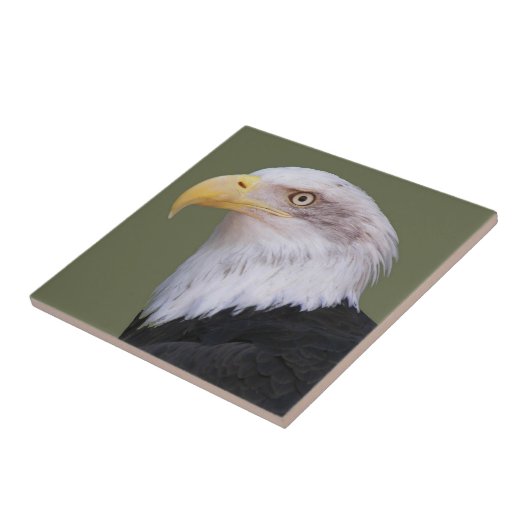 アメリカハゲのワシ タイル (側面)
