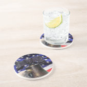 アメリカハゲのワシ、ベルとフラッグコースター コースター (側面)