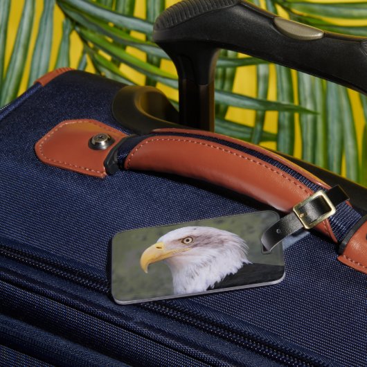 アメリカハゲのワシ ラゲッジタグ (正面インサイチュ3)