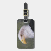 アメリカハゲのワシ ラゲッジタグ (正面縦)