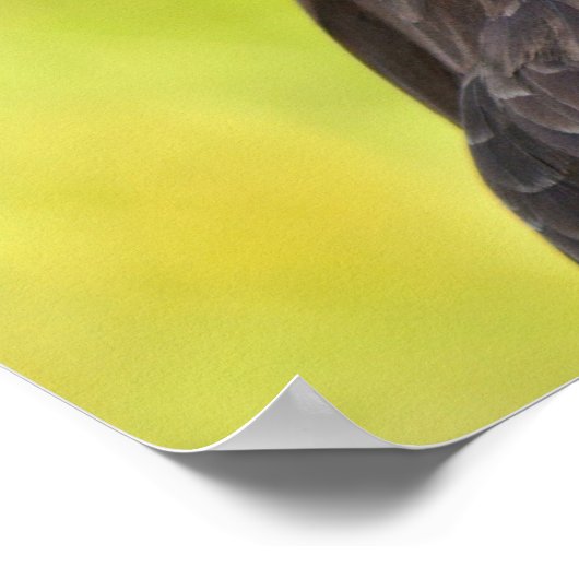 アメリカハゲワシ ポスター (角)