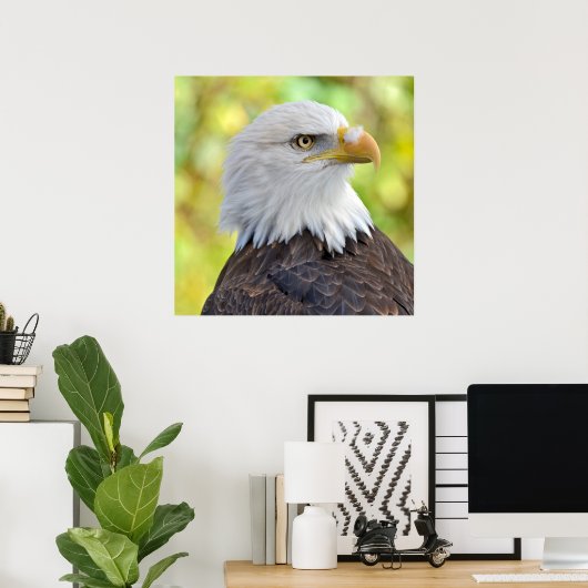 アメリカハゲワシ ポスター (ホームオフィス)
