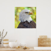 アメリカハゲワシ ポスター (キッチン)