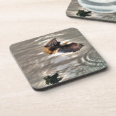 アメリカハゲ飛んでいるワシ海 コースター (左側)