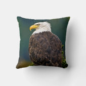 アメリカハゲ・イーグル クッション (裏面)