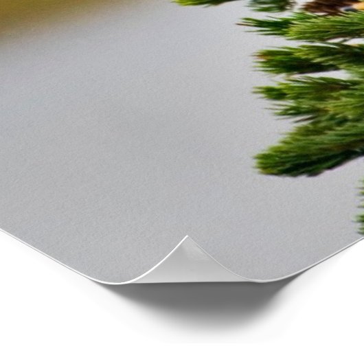 アメリカハゲ・イーグル ポスター (角)