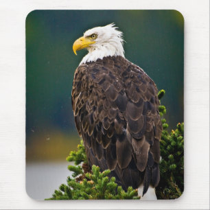 アメリカハゲ・イーグル マウスパッド