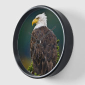 アメリカハゲ・イーグル 壁時計 (傾斜)
