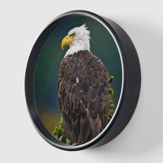 アメリカハゲ・イーグル 壁時計 (傾斜)