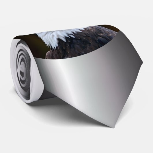 アメリカハゲ ネクタイ (ロール)