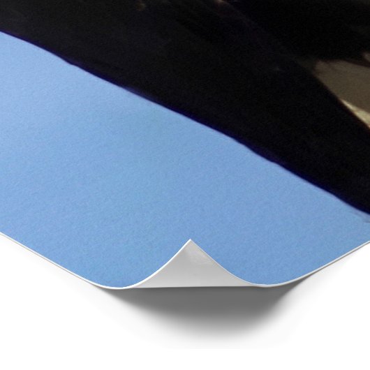 アメリカハゲ ポスター (角)