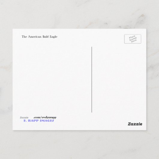 アメリカハゲ ポストカード (裏面)