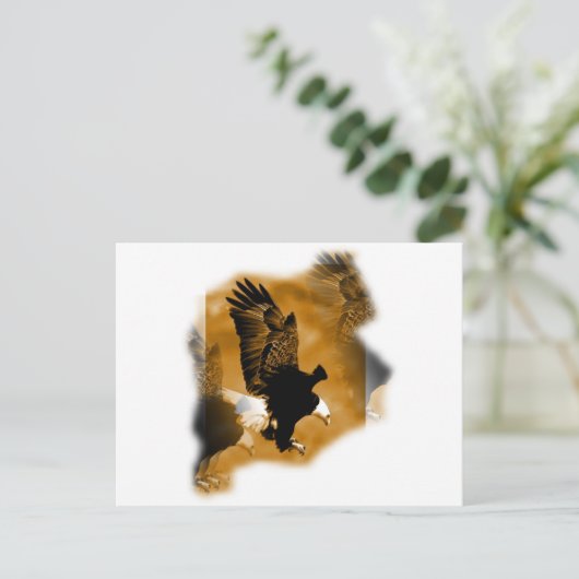 アメリカハゲ ポストカード (スタンド正面)