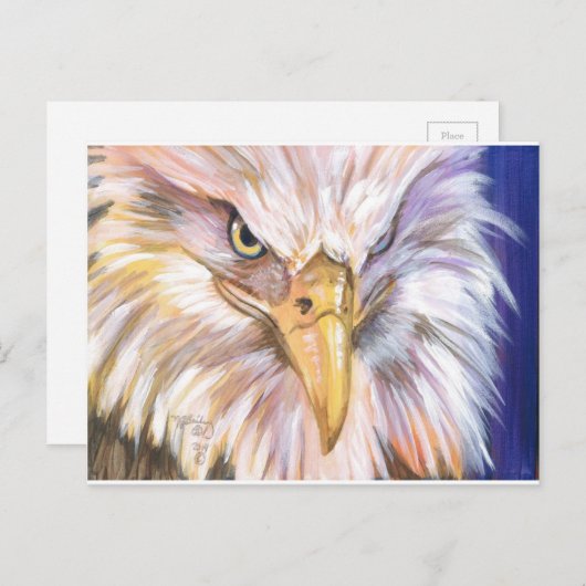 アメリカハゲ ポストカード (正面/裏面)