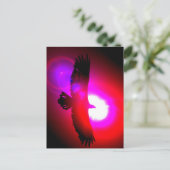 アメリカハゲ ポストカード (スタンド正面)