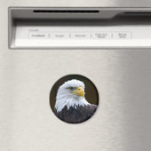 アメリカハゲ マグネット (インサイチュ (食洗機))