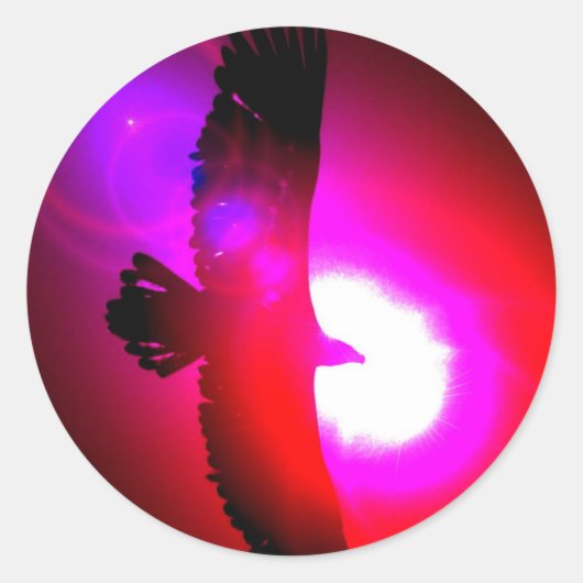 アメリカハゲ ラウンドシール (正面)