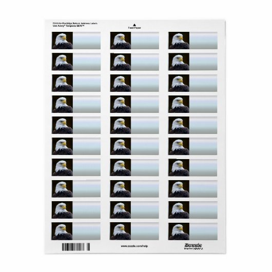 アメリカハゲ ラベル (フルシート)