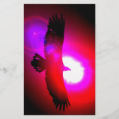 アメリカハゲ 便箋 (正面)