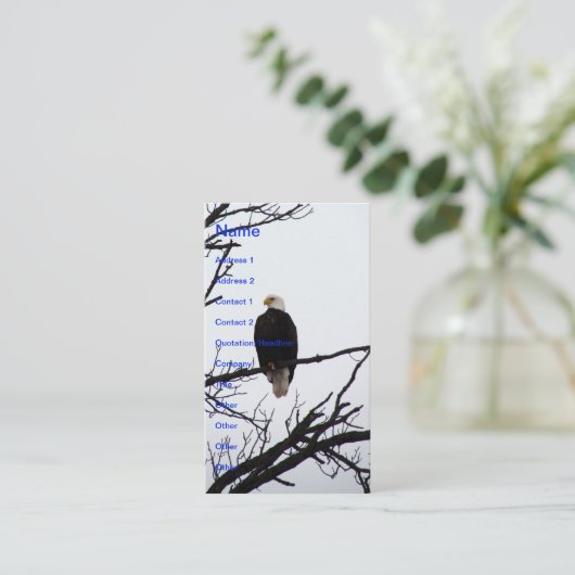 アメリカハゲ 名刺 (スタンド正面)