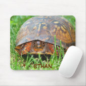 アメリカハコガメのマウスパッド マウスパッド (マウス)