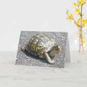 アメリカハコガメのメッセージカード カード (黄色い花)