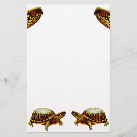 アメリカハコガメの文房具 便箋 (正面)