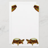アメリカハコガメの文房具 便箋 (正面/裏面)