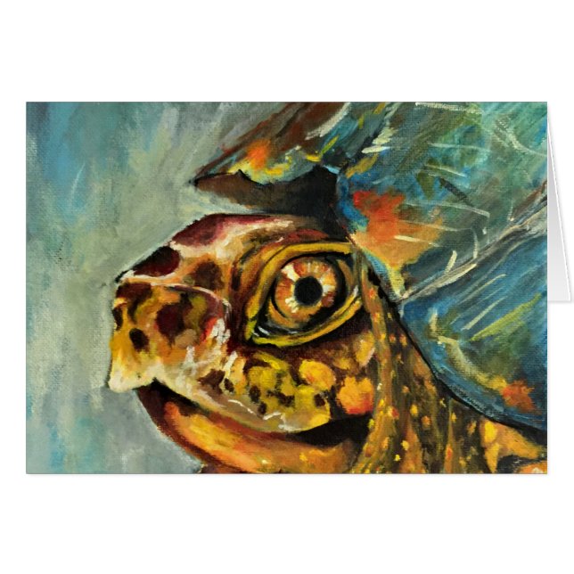 アメリカハコガメ (正面横)