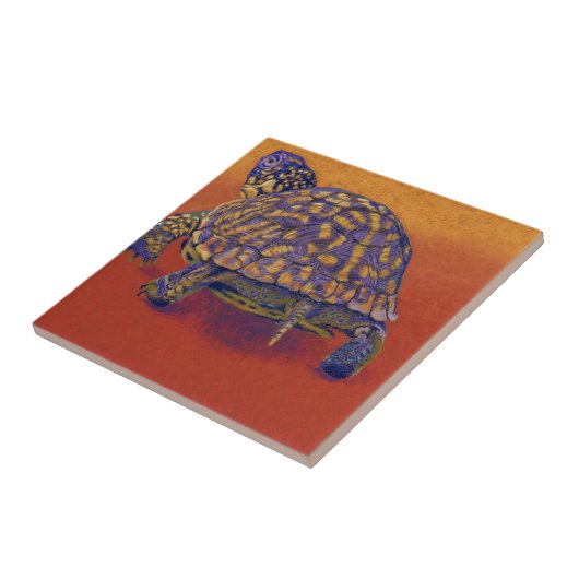 アメリカハコガメ、カメ タイル (側面)