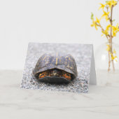 アメリカハコガメ カード (黄色い花)