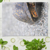 アメリカハコガメ キッチンタオル (折り畳み)