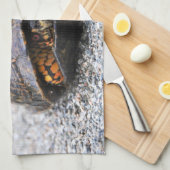 アメリカハコガメ キッチンタオル (四つ折り)