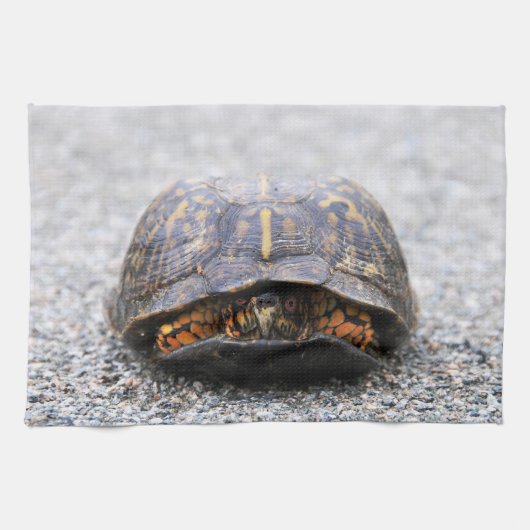 アメリカハコガメ キッチンタオル (横)