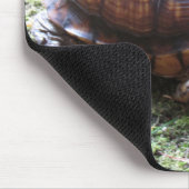 アメリカハコガメ-コケむした道 マウスパッド (コーナー)