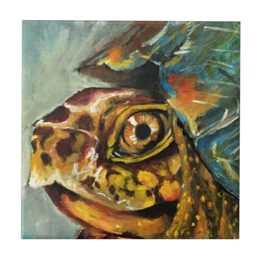 アメリカハコガメ タイル (正面)